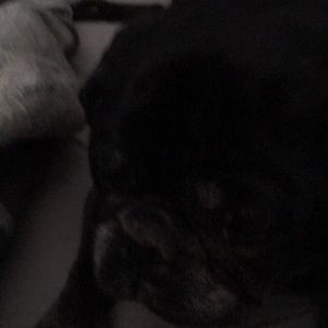 Meet your Posher, Jean